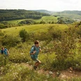 Anstieg Hammelsberg auf dem Panoramaweg Perl