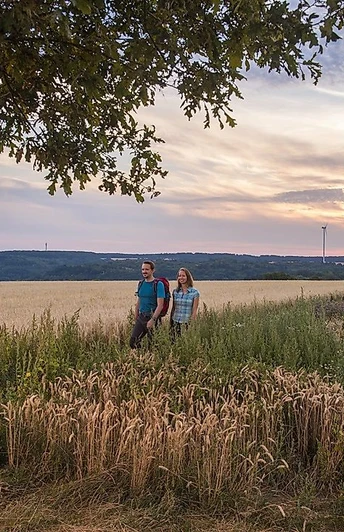 Wandern auf der Traumschleife Der Bietzerberger
