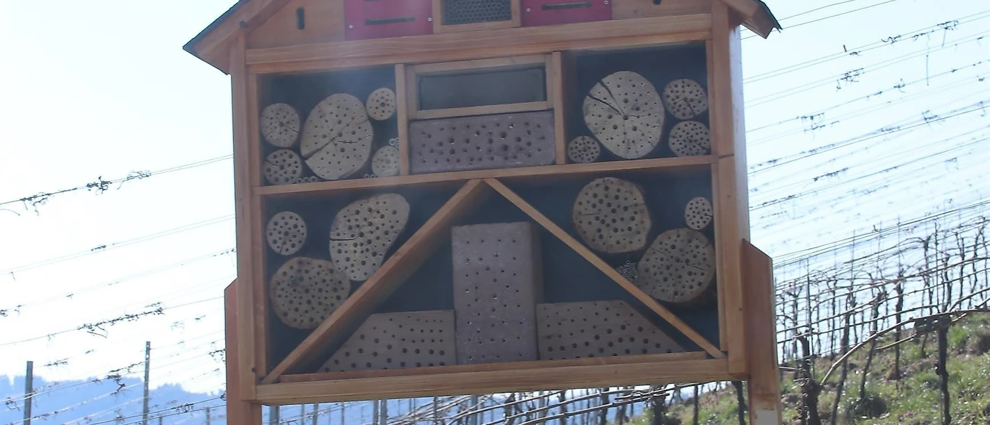 Insektenhotel