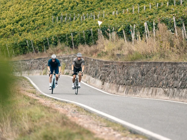 Mit dem Rennrad durch die Nahe Weinberge
