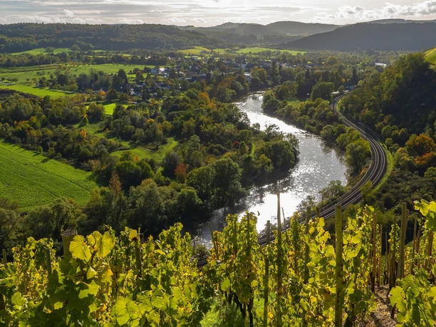 Wiltinger Saarbogen (1)