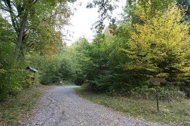 Tiergarten