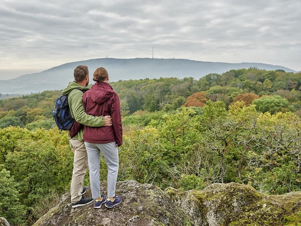 Drosselfels Aussicht