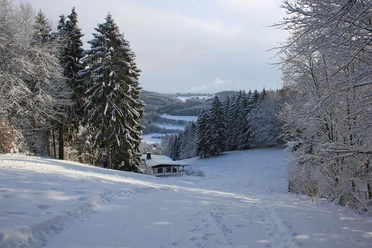 Blick Skipiste Wolfsschlucht (oberer Teil)