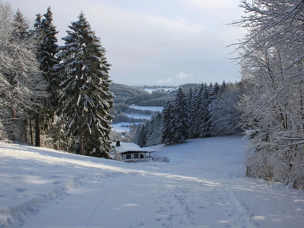 Blick Skipiste Wolfsschlucht (oberer Teil)