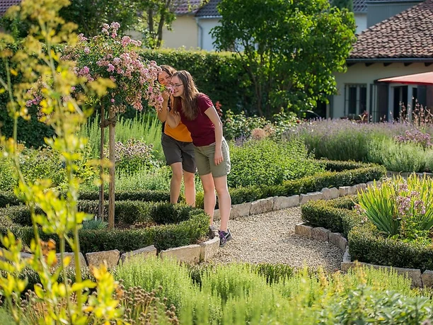 Der Gewürzgarten am Haus Saargau in Gisingen