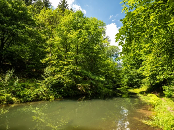 Triftanlagen Rinnthal
