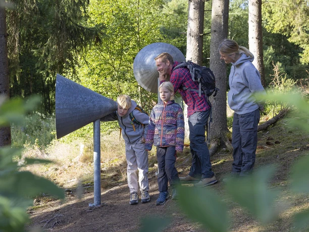 Lausch mal in den Eifelwald hinein