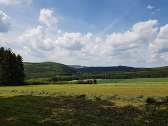 Alfbachtal
