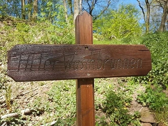 Wegweiser