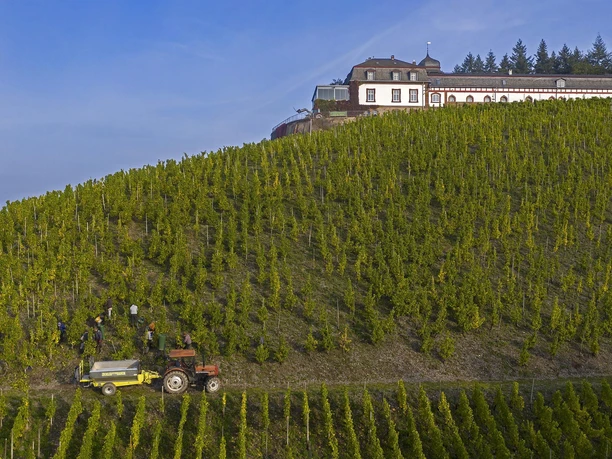 Schloss Saarstein