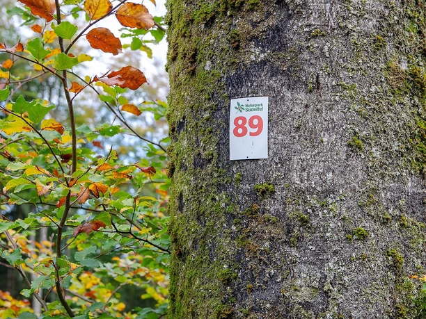 Wegbeschilderung