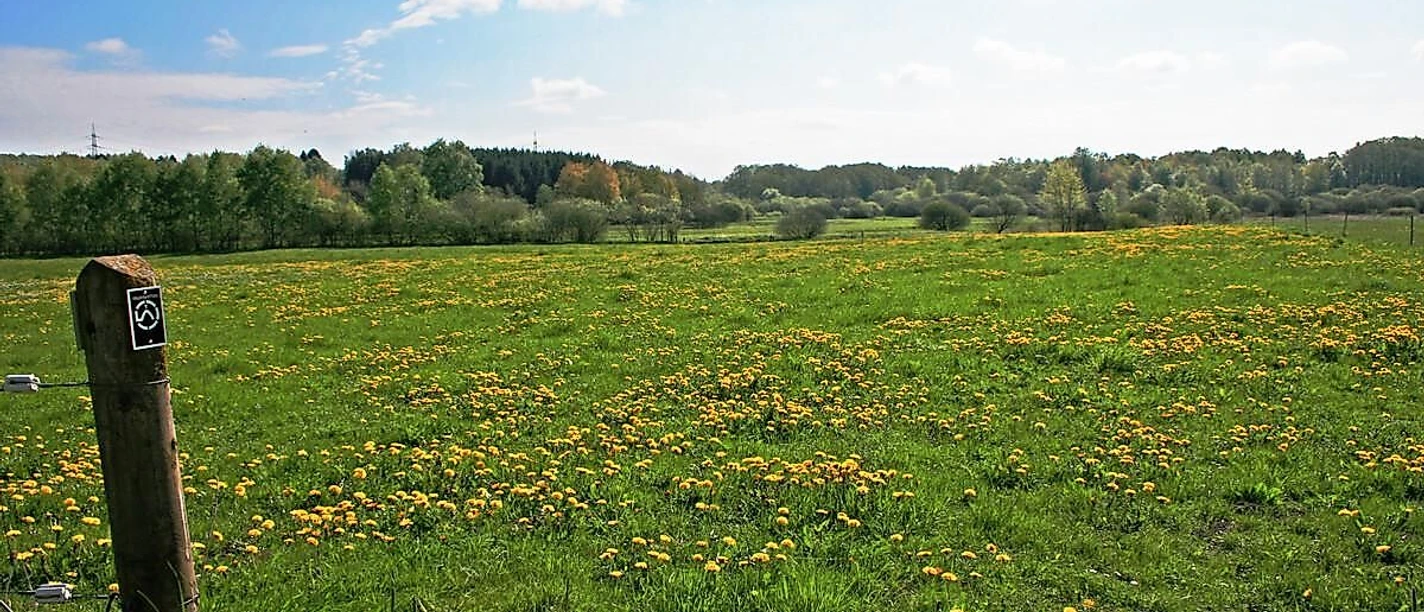 Neunkhausen-Weitefelder Plateau