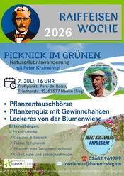Picknick im Grünen