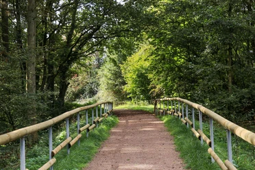 Spazierweg Warsberg (1)
