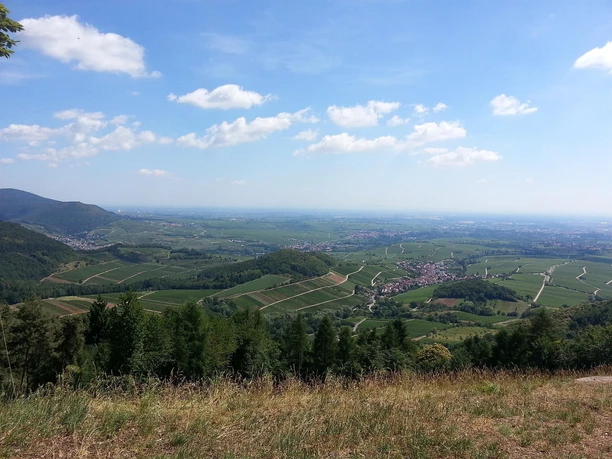 Aussicht vom Föhrlenberg Aussicht vom Föhrlenberg