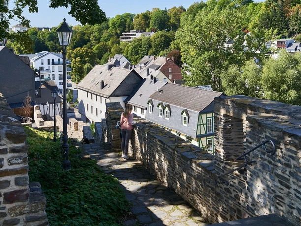 Stadtmauer 1