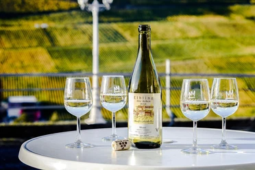 Weingut Welter Wincheringen (1)