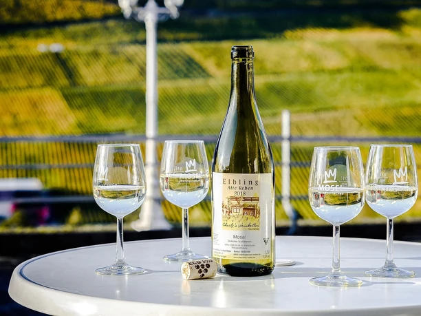Weingut Welter Wincheringen (1)