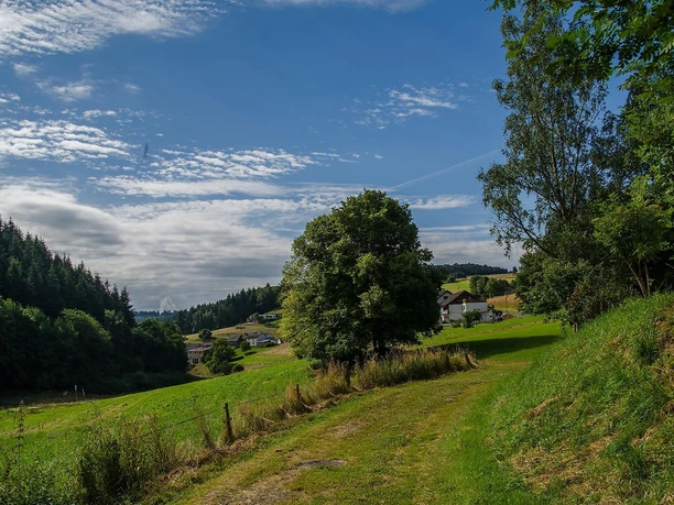 Idyllische Feldwege