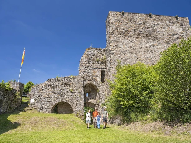 Blick auf die Virneburg