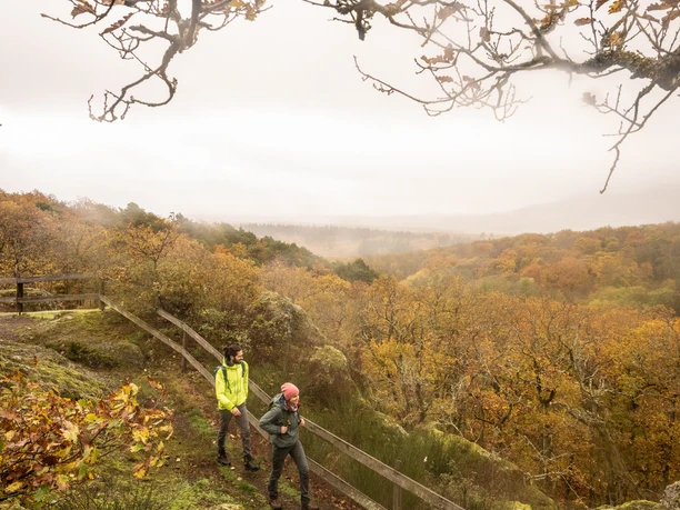 Wanderer am Drosselfels