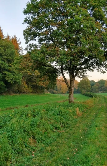 Unterwegs auf dem Traumschleifchen Sonnenrunde