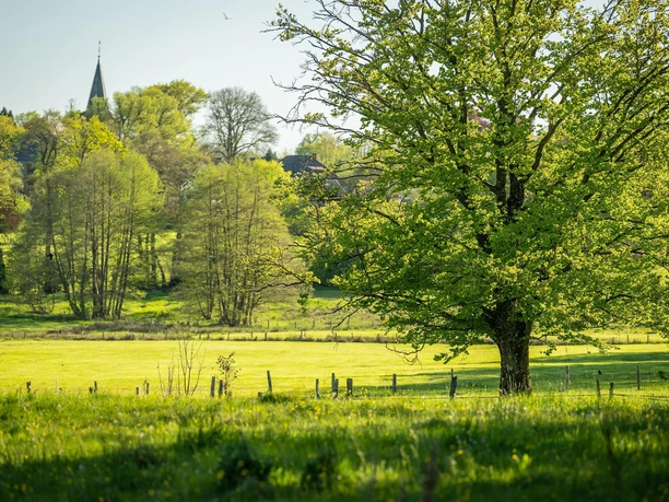 Grölisbach