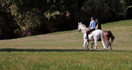 reiten