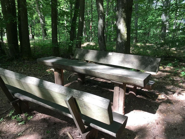 Picknickplatz Tisch Bank 1