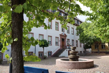 Leininger Schloss Guntersblum