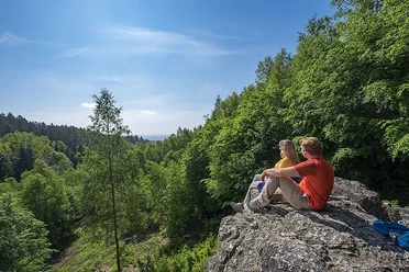 Die Aussicht auf den Hochwald vom Teufelsfelsen aus