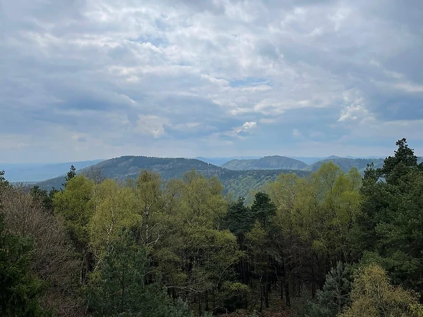Aussicht von Ludwigstrum