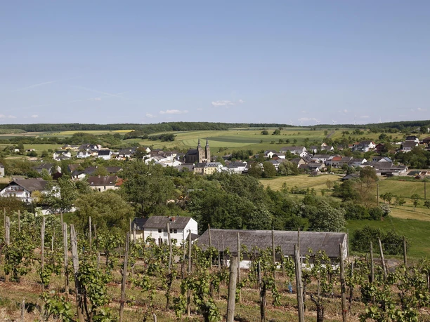 Weinberge bei Palzem-Helfant