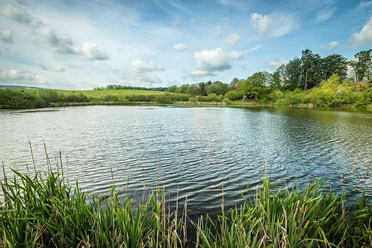 Eichholzmaar (2)