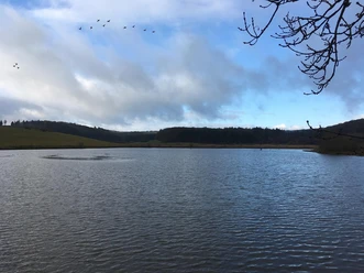 Sangweiher, Mehren