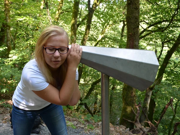 Achtsamkeitspfad Höhrrohr