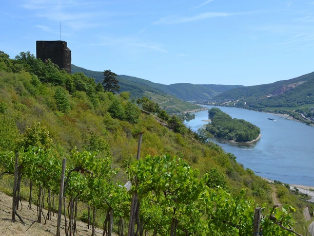 Nollig mit Aussicht