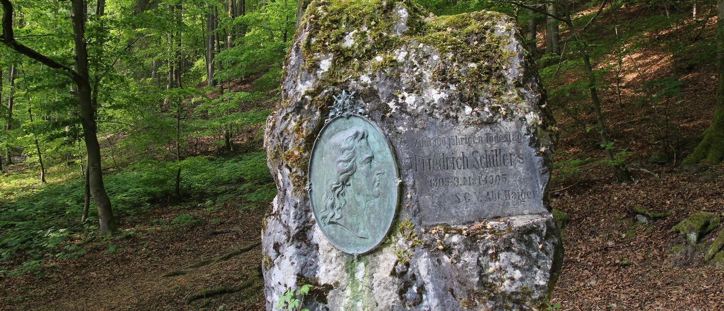 Schillerstein_Lea