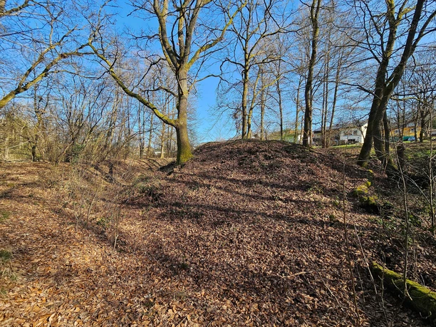Ansicht Motte