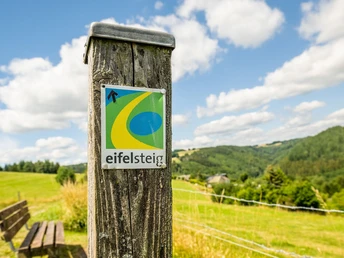 Eifelsteig bei Dedenborn