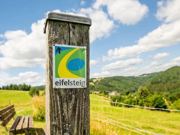 Eifelsteig bei Dedenborn