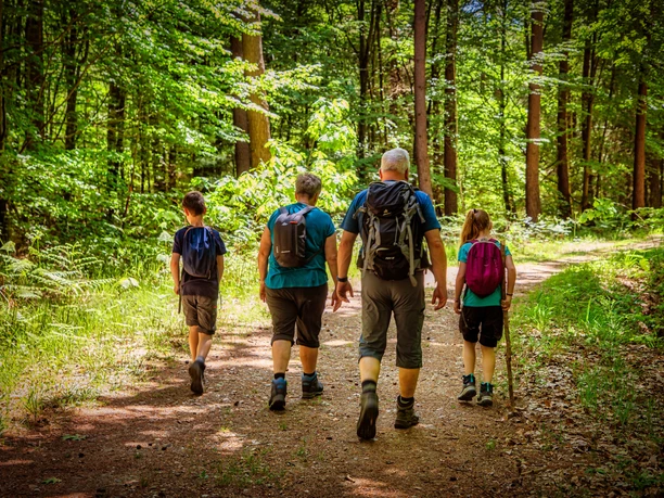 Wandern im Bienwald