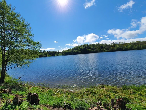 Das Schalkenmehrener Maar