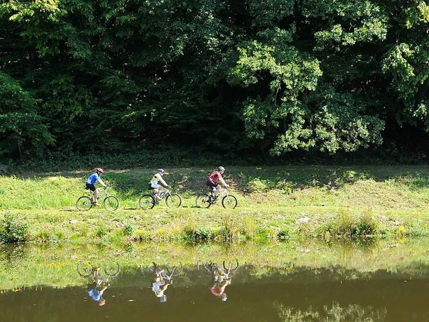 MTB Trails im Sankt Wendeler Land
