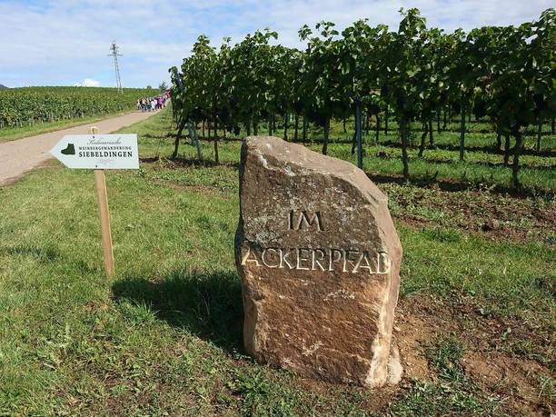 Beschilderung