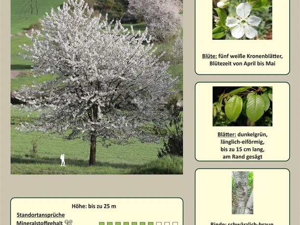 Infotafel Beispiel