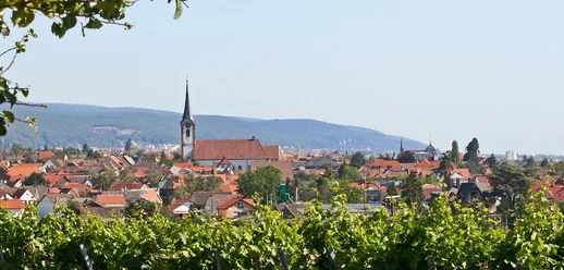 Maikammer