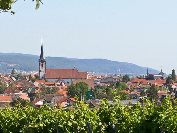 Maikammer