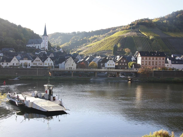 Blick auf Briedel